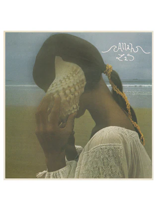 Allah-Las cassette - Image 3
