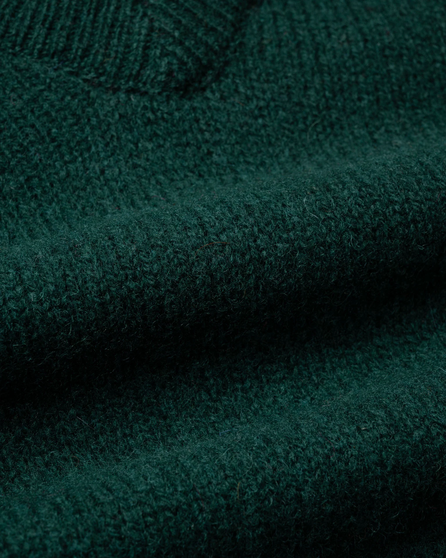 Future Memories - Forest - Image 2