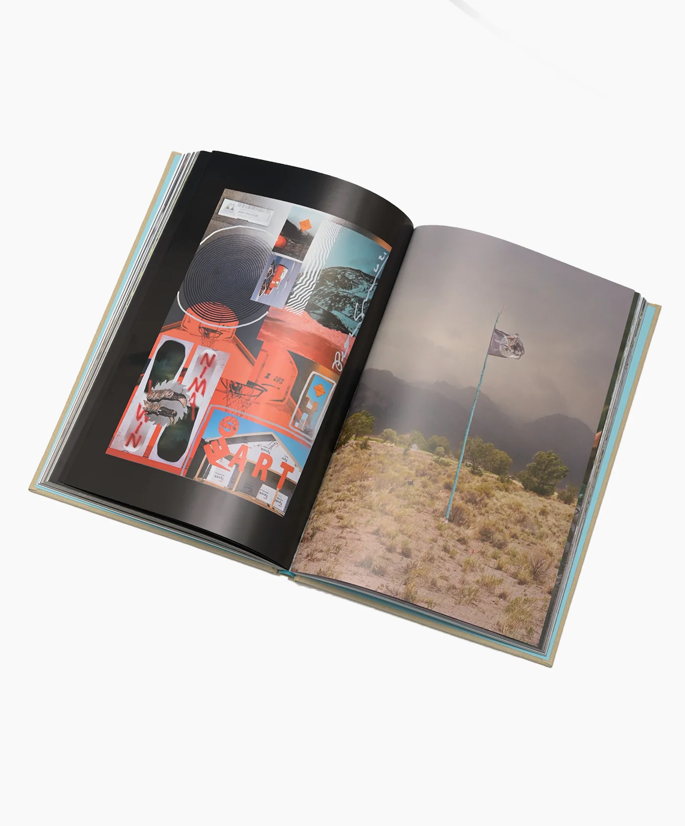 Peter Sutherland, Colorado - Image 3