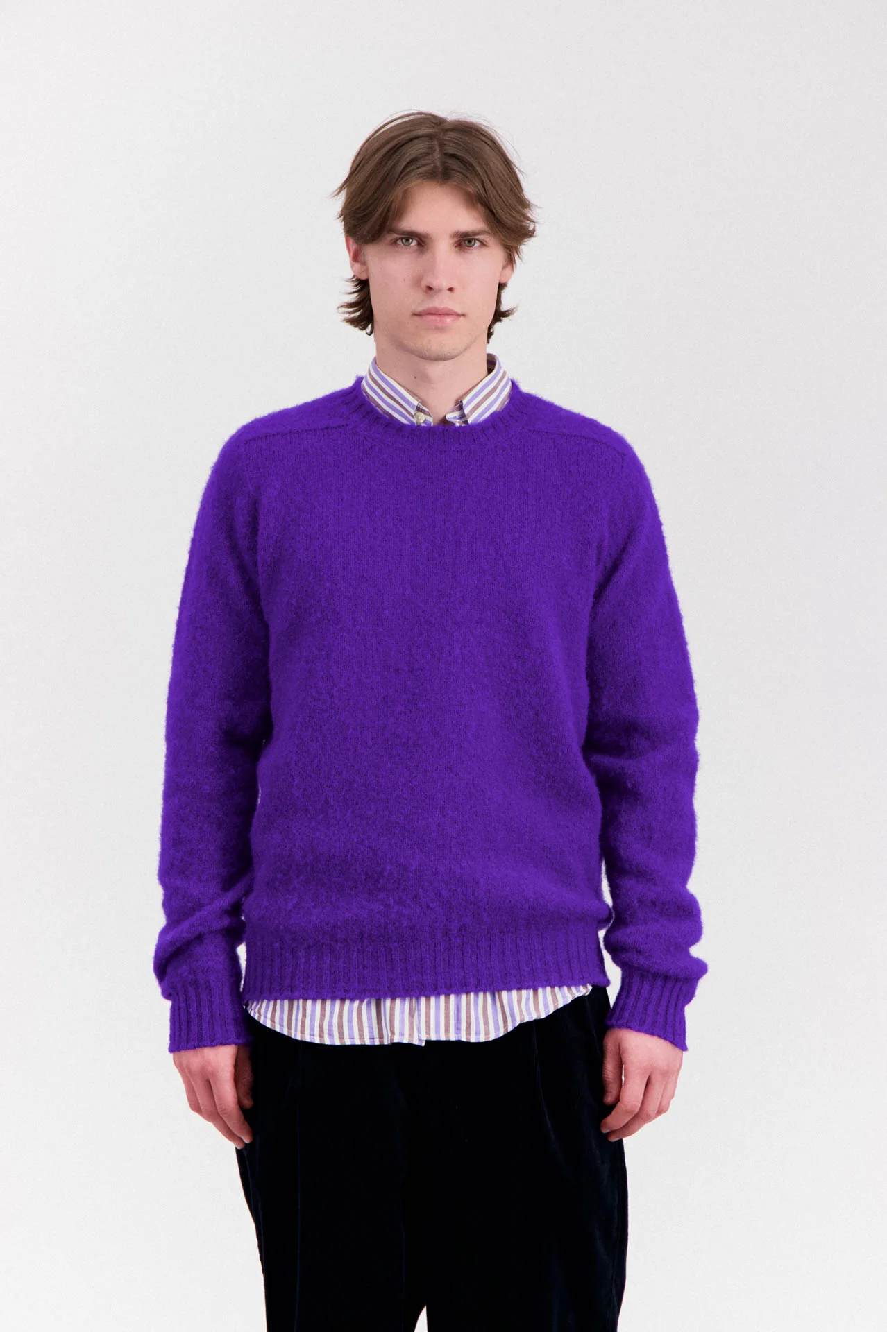 Shaggy Bear - Mystic Violet - Image 2