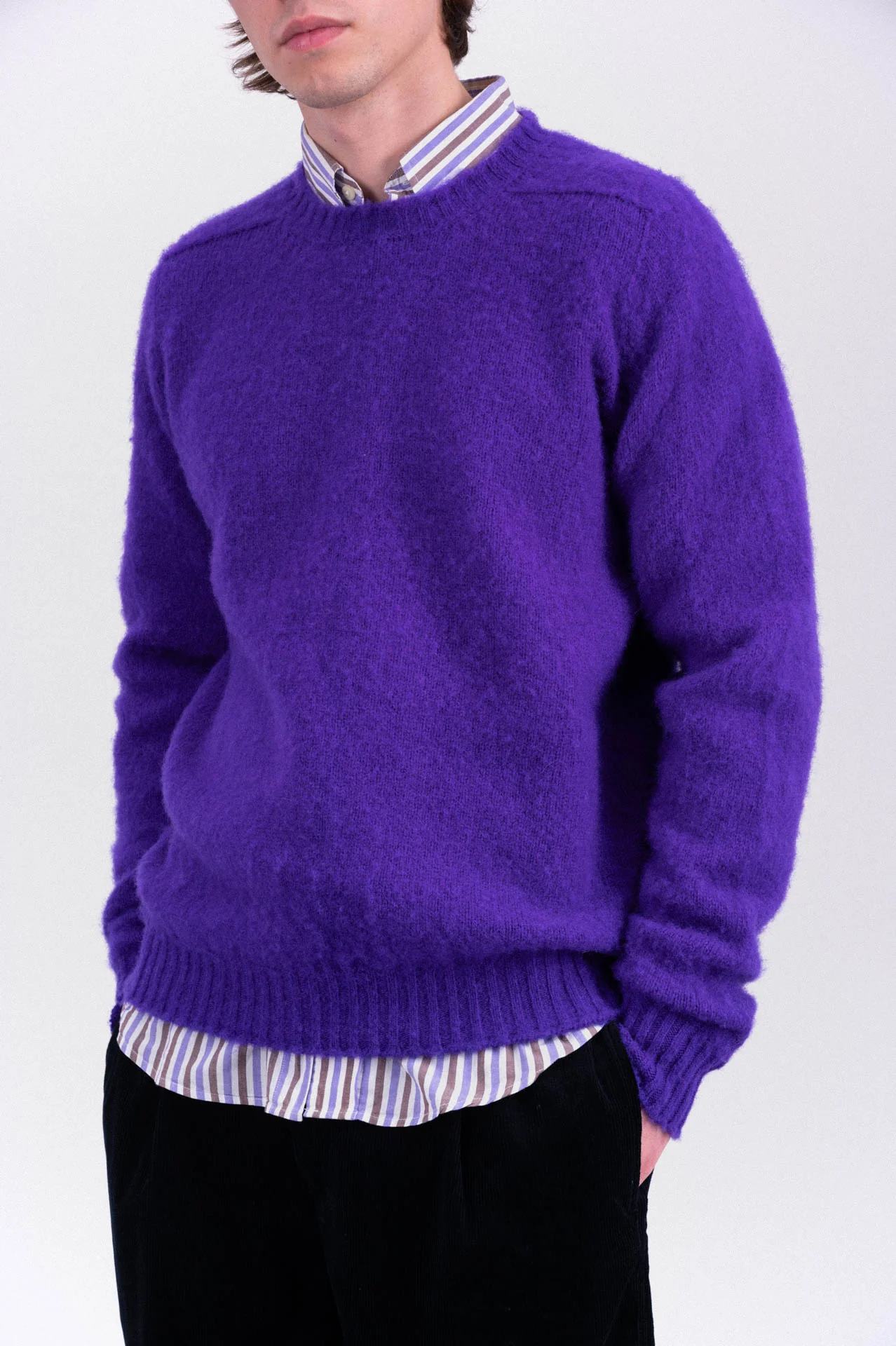 Shaggy Bear - Mystic Violet - Image 4