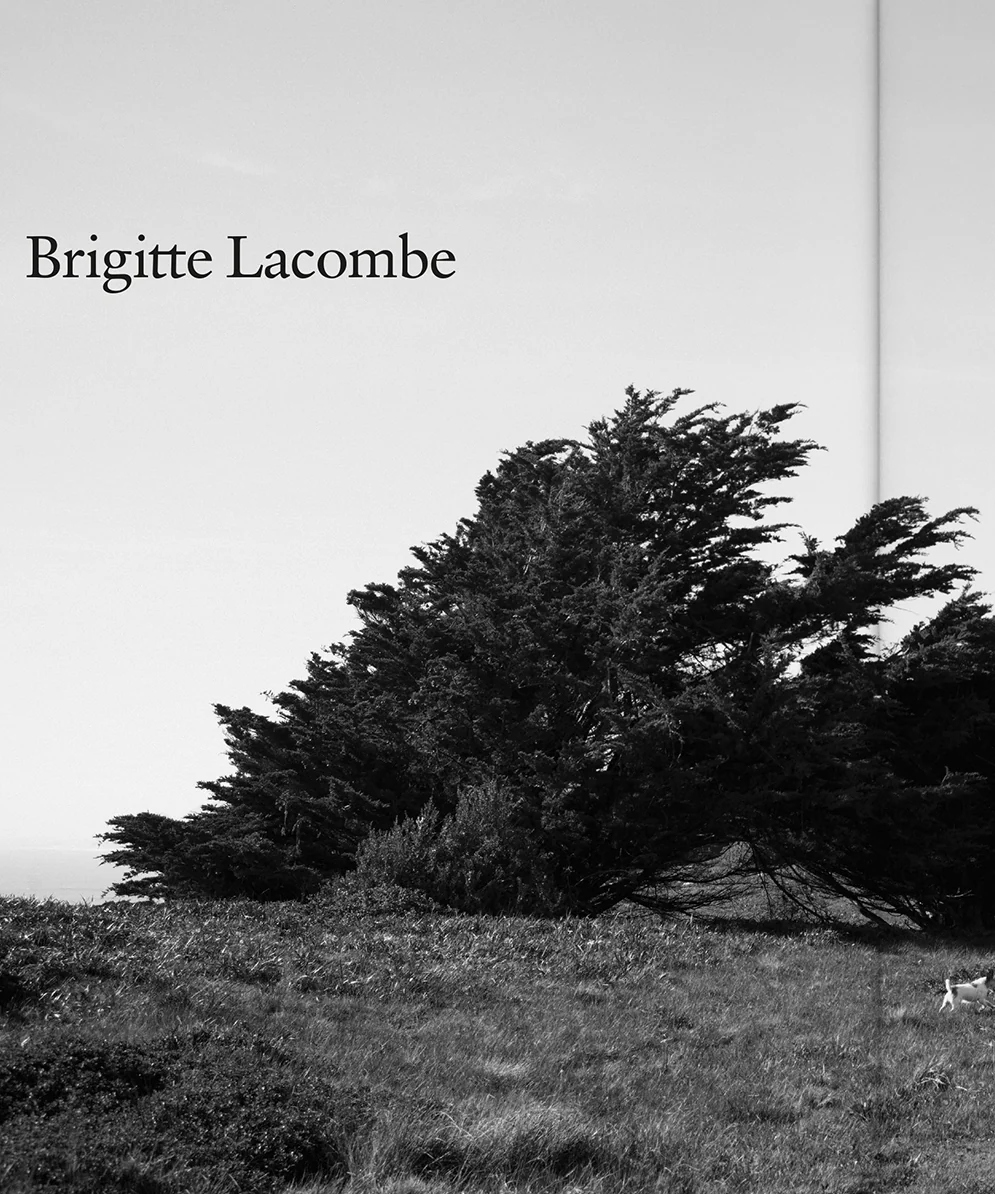 The Plant Issue 12 - Image 3